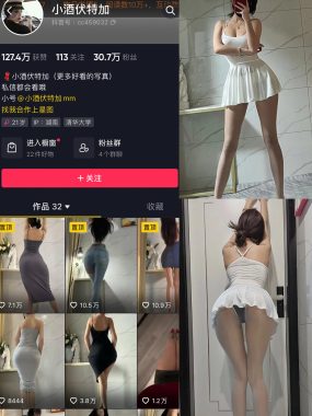 小酒伏特加微密圈写真和视频作品合集