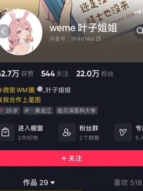 叶子姐姐微密圈 网盘资源合集[持续更新]