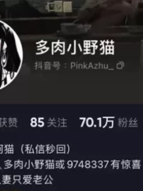 多肉小野猫微密圈付费入圈作品合集