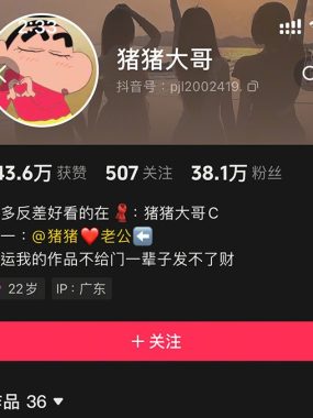 抖音 猪猪大哥 微密圈写真合集