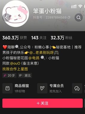 抖音 笨蛋小粉猫 微密圈写真合集