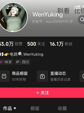 抖音 WenYuking 微密圈写真合集