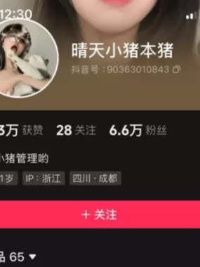 抖音晴天小猪本猪微密圈图片&视频 作品合集