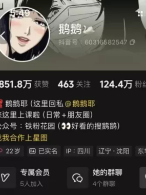 抖音[鹅鹅]铁粉空间视图资源合集网盘全套资源打包