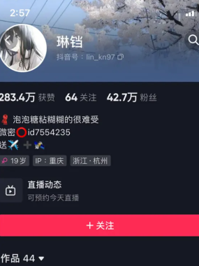 琳铛 微密圈 写真图片视频 网盘资源合集