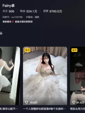 Fairy卓微密圈图片视频全套资源合集(持续更新)